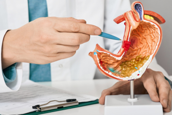 Best Orthopaedicians in ECR